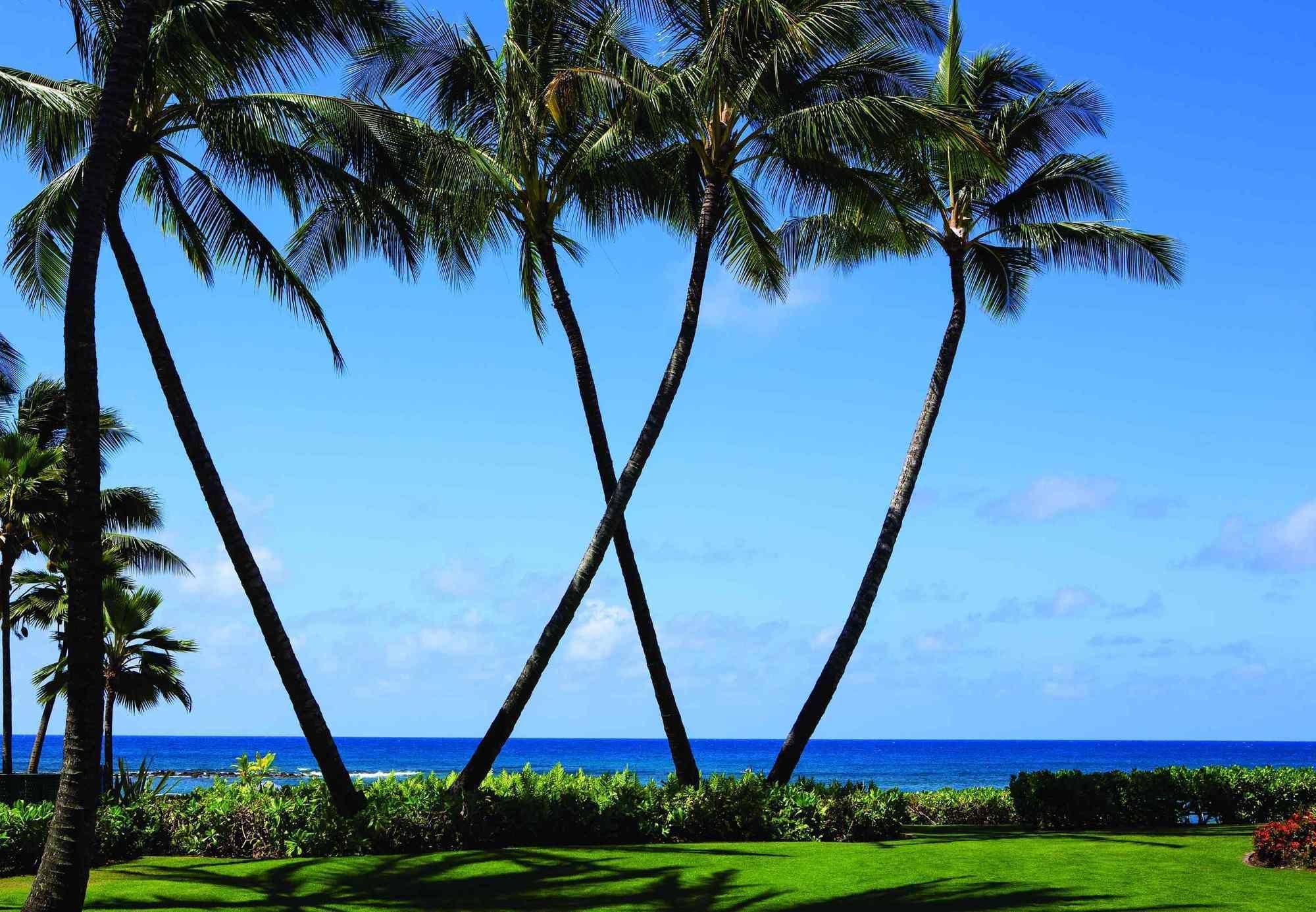 Marriott'S Waiohai Beach Club Koloa Dış mekan fotoğraf